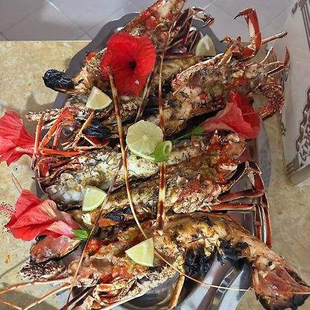 Chez Guoumi Βίλα Oualidia Εξωτερικό φωτογραφία